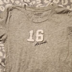 Abercrombie & Fitch Heather Gray Tee with Embroidered Design